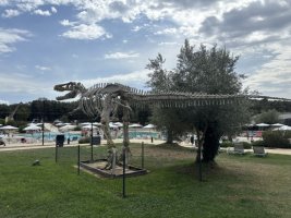 IMG_7125.jpeg