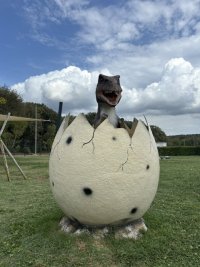 IMG_7126.jpeg