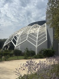 IMG_7138.jpeg