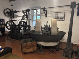 IMG_7227.jpeg