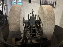 IMG_7228.jpeg
