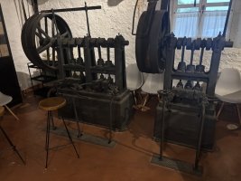 IMG_7229.jpeg