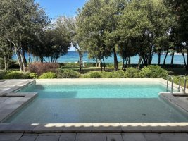 IMG_7246.jpeg