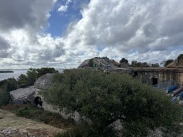 IMG_7251.jpeg