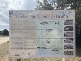 IMG_7254.jpeg