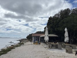 IMG_7294.jpeg