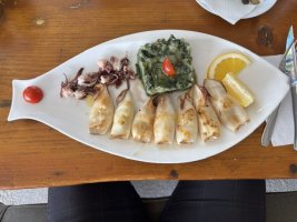 IMG_7298.jpeg