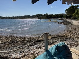 IMG_7328.jpeg