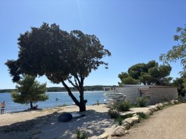 IMG_7326.jpeg