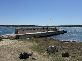 IMG_7318.jpeg