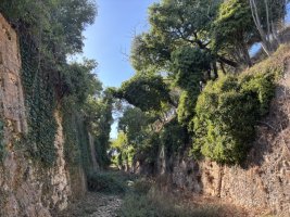 IMG_7332.jpeg