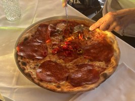 IMG_7390.jpeg IMG_7390.jpeg