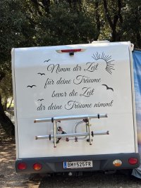 IMG_7380.jpeg