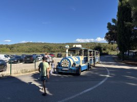 IMG_7381.jpeg