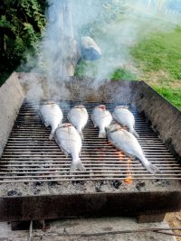 IMG_20260920_200918.jpg