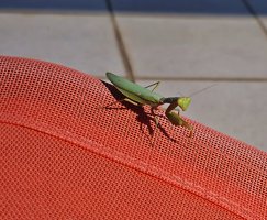 IMG_20260929_111253_klein.jpg