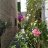 Birgit-631