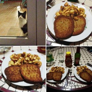 Urlaub September/Oktober 2019 Mlini und mehr