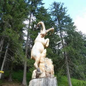 Nicht Kroatien