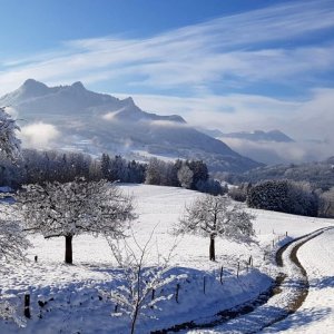 Samerberg im Winterkleid .jpg