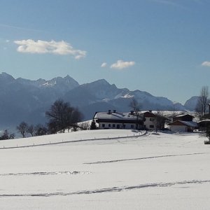 Winter am Samerberg