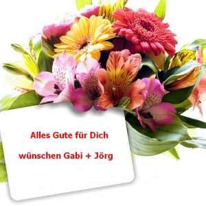 AllesGute.jpg