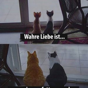 Liebe ist.jpg