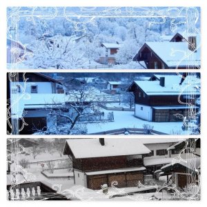 New Winter Collage.jpg