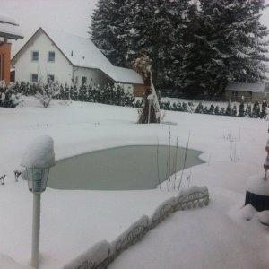 Winter (1).JPG