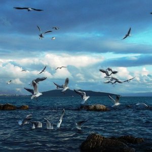 kastela