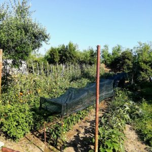 Garten in Kastela