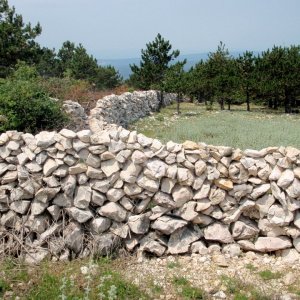 Trockenmauern auf Krk in der Nähe des Veli Vrh