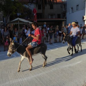 Norddalmatien: DUGI OTOK > Sali > Saljske Uzance 2017