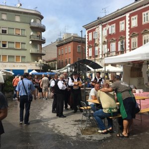 Istrien : Pula > Wochenmarkt in Pula