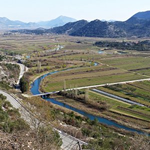 Vrgoracko Polje