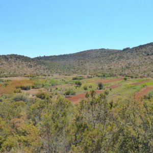 Norddalmatien: DUGI OTOK > Landwirtschaftlich genutzte Poljen