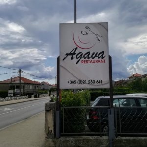 Agava