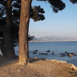 DSCF4261.JPG