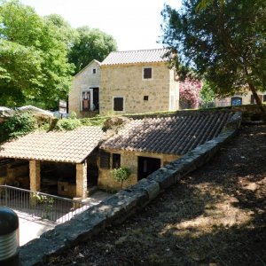 Ethnodorf