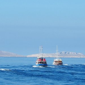 Norddalmatien: KORNATEN > Ausflugsboot-Armada