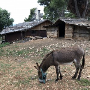 Ferienanlage Medena