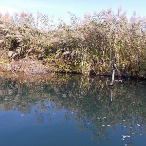 Dalmatien: Momici > auf der Neretva