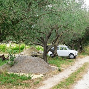 Dalmatien: Kastela> Wanderweg
