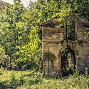 Kvarner: Rijeka > Ruine im Wald