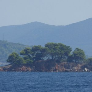 Norddalmatien: DUGI OTOK > Savar > einsames Felseninselchen