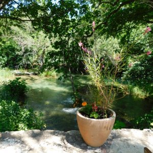 Dalmatien: Krka Wasserfälle> Blumentopf