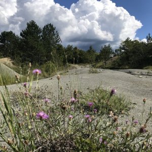 Istrien: BUZET > sieben Wasserfall Weg > Wanderung