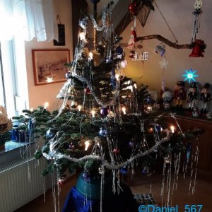 2020_Weihnachtsbaum.jpg