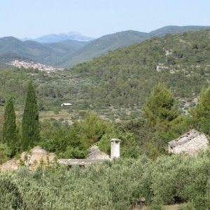 Dalmatien: INSEL KORCULA > verlassenes Dorf Dub (bei Vela Luka)