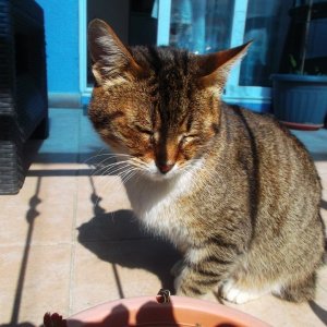 DSCF5699.JPG